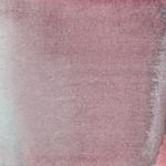 Dye mushroom: Cortinarius uliginosus (Marsh Web Cap), Pigment: copper acetate