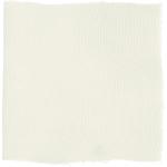 Dye mushroom: Hydnellum suaveolens (Sweetgrass Hydnellum), Fiber: silk, Mordent: alum