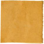 Dye mushroom: Neoboletus praestigator (Scarletina Bolete), Fiber: wool, Mordent: tin