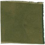 Dye mushroom: Polyozellus atroazulinus (Blue Chanterelle), Fiber: wool, Mordent: tin