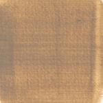 Dye mushroom: Boletus rex veris (Spring King Bolete), Pigment: base