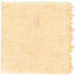 Dye mushroom: Boletus rex veris (Spring King Bolete), Fiber: linen, Mordent: titanium oxalate