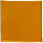 Dye mushroom: Boletus edulis var. edulis (King Bolete, Porcini), Fiber: wool, Mordent: tin