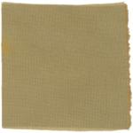 Dye mushroom: Boletus rex veris (Spring King Bolete), Fiber: wool, Mordent: iron