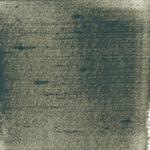 Dye mushroom: Polyozellus atroazulinus (Blue Chanterelle), Pigment: base