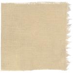 Dye mushroom: Aureoboletus mirabilis (Admirable Bolete), Fiber: linen, Mordent: iron