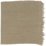 Dye mushroom: Hydnellum aurantiacum (null), Fiber: linen, Mordent: iron