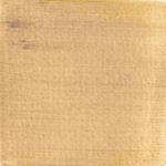 Dye mushroom: Boletus rex veris (Spring King Bolete), Pigment: citric acid