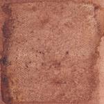 Dye mushroom: Echinodontium tinctorium (Indian Paint Fungus), Pigment: alum