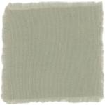 Dye mushroom: Sarcadon stereosarcinon (Stereo Tooth), Fiber: wool, Mordent: alum