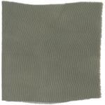 Dye mushroom: Hydnellum aurantiacum (null), Fiber: silk, Mordent: iron