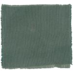 Dye mushroom: Hydnellum suaveolens (Sweetgrass Hydnellum), Fiber: wool, Mordent: iron