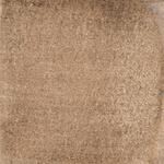 Dye mushroom: Cortinarius violaceus (Violet Webcap), Pigment: soda ash