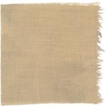 Dye mushroom: Suillus granulatus (Weeping Bolete), Fiber: linen, Mordent: iron