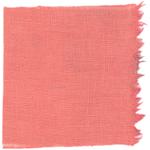 Dye mushroom: Cortinarius neosanguines (Western Blood Red Cort), Fiber: linen, Mordent: aluminum acetate