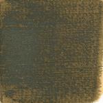 Dye mushroom: Boletopsis grisea (null), Pigment: iron