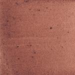 Dye mushroom: Echinodontium tinctorium (Indian Paint Fungus), Pigment: base