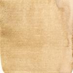 Dye mushroom: Tapinella atrotomentosa (Velvet pax foot), Pigment: soda ash