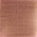 Dye mushroom: Cortinarius semisanguineus (Surprise Web Cap), Pigment: iron