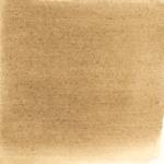 Dye mushroom: Tapinella atrotomentosa (Velvet pax foot), Pigment: citric acid