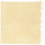 Dye mushroom: Aureoboletus mirabilis (Admirable Bolete), Fiber: linen, Mordent: aluminum acetate